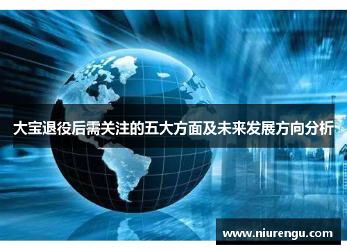 大宝退役后需关注的五大方面及未来发展方向分析