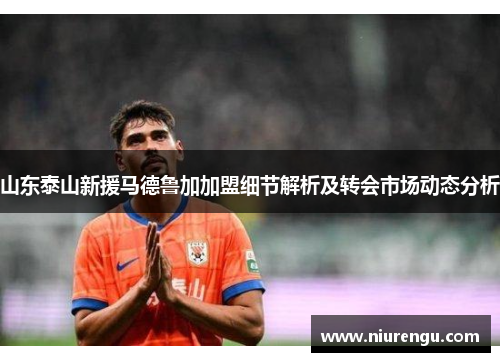 山东泰山新援马德鲁加加盟细节解析及转会市场动态分析
