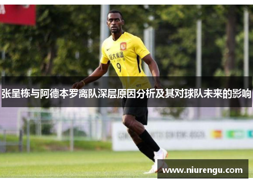 张呈栋与阿德本罗离队深层原因分析及其对球队未来的影响