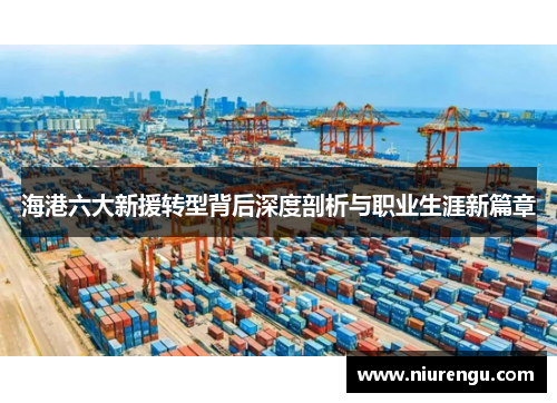 海港六大新援转型背后深度剖析与职业生涯新篇章